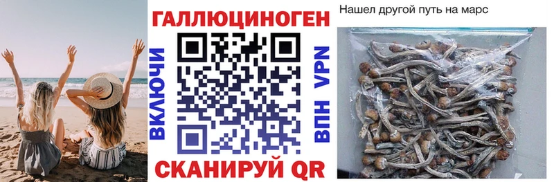 Псилоцибиновые грибы ЛСД  ОМГ ОМГ вход  Верхняя Тура 
